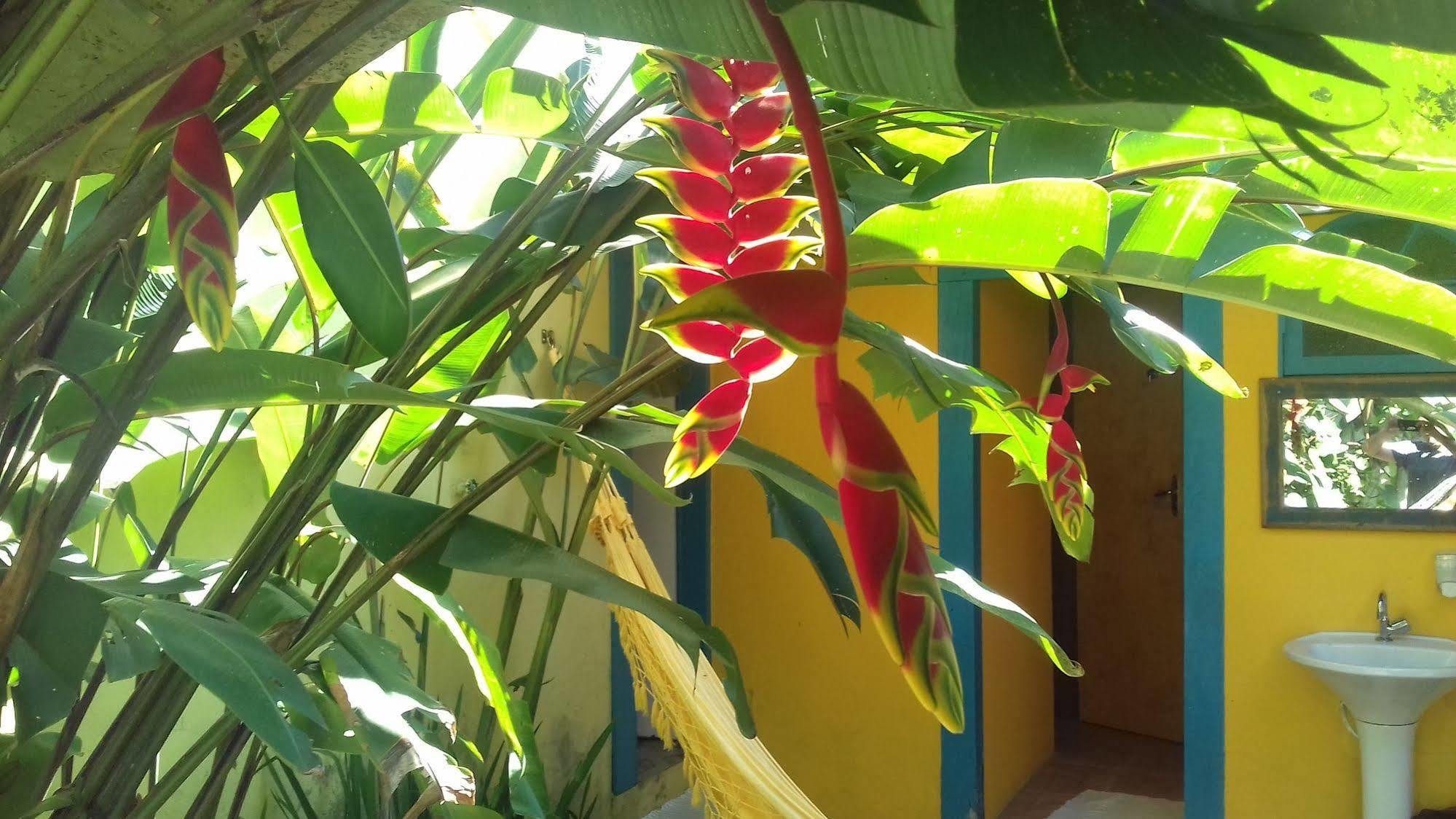 Maracujá Hostel Araquari Exteriér fotografie